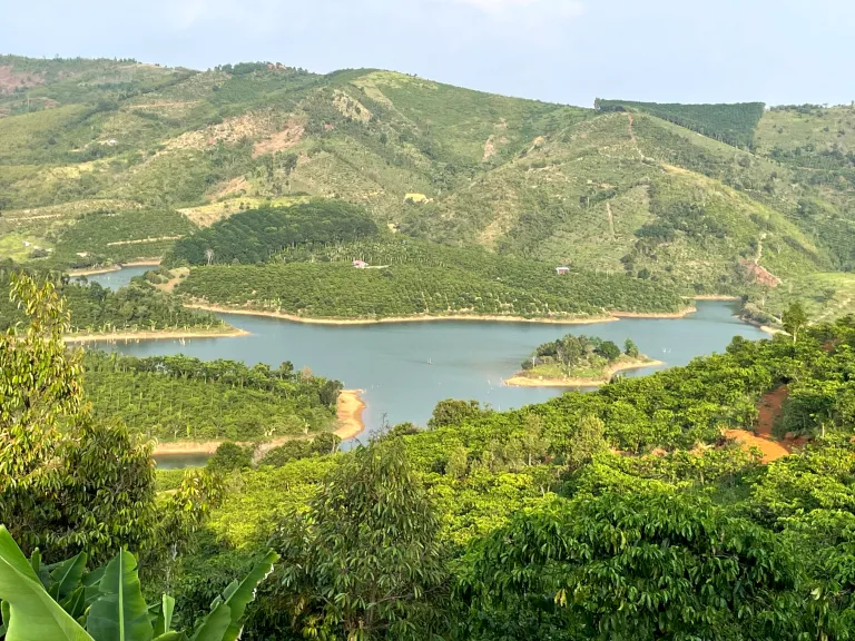 Đảo Thỏ | Bán Đảo Sinh Thái 73.000m² Ven Hồ – Cơ Hội Đầu Tư 