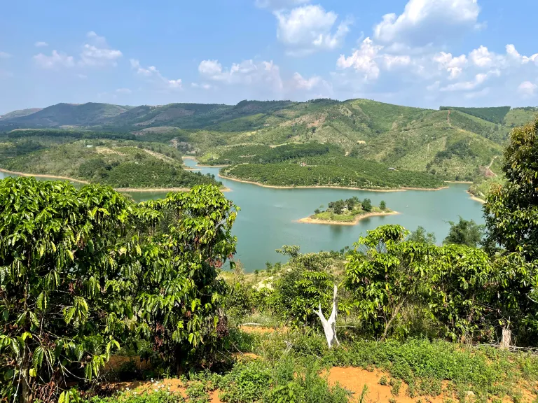Đảo Thỏ | Bán Đảo Sinh Thái 73.000m² Ven Hồ – Cơ Hội Đầu Tư 