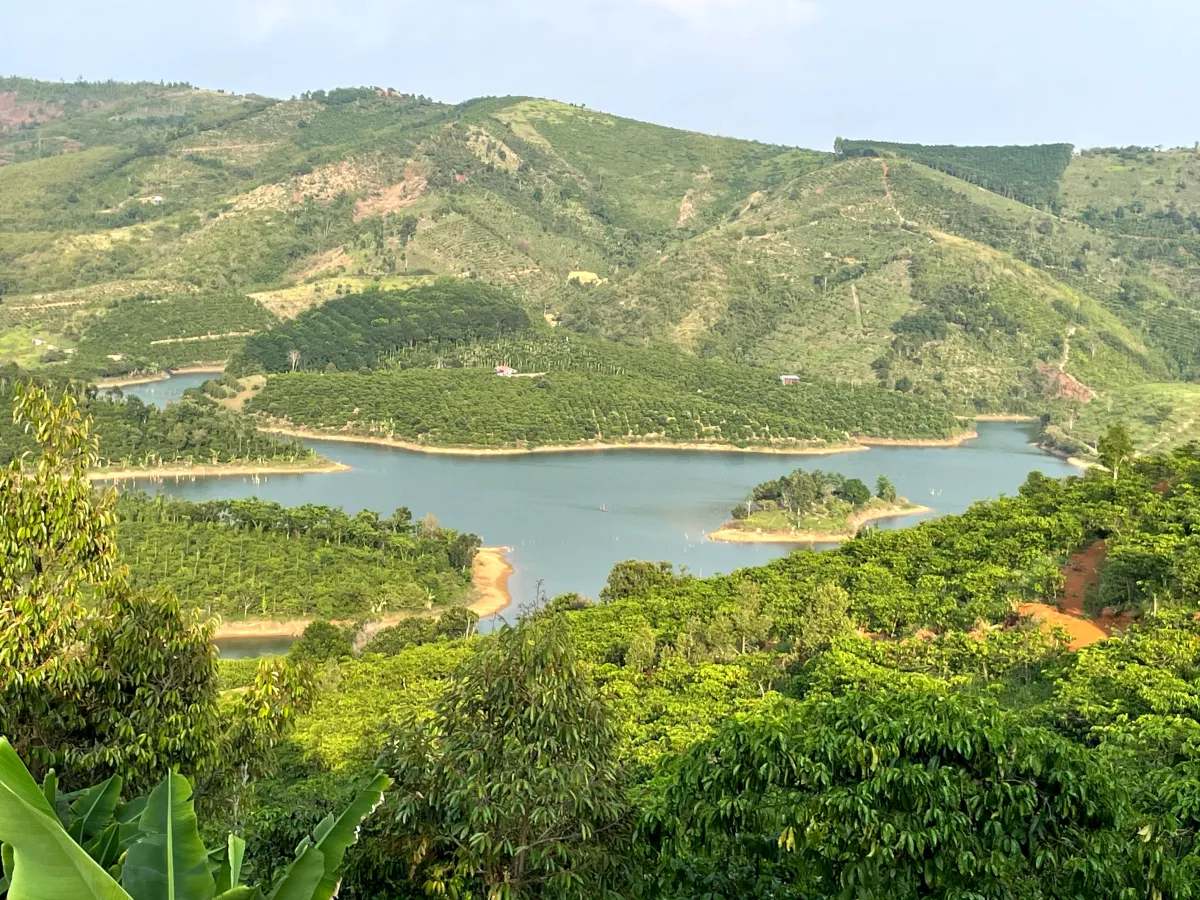 Đảo Thỏ | Bán Đảo Sinh Thái 73.000m² Ven Hồ – Cơ Hội Đầu Tư 